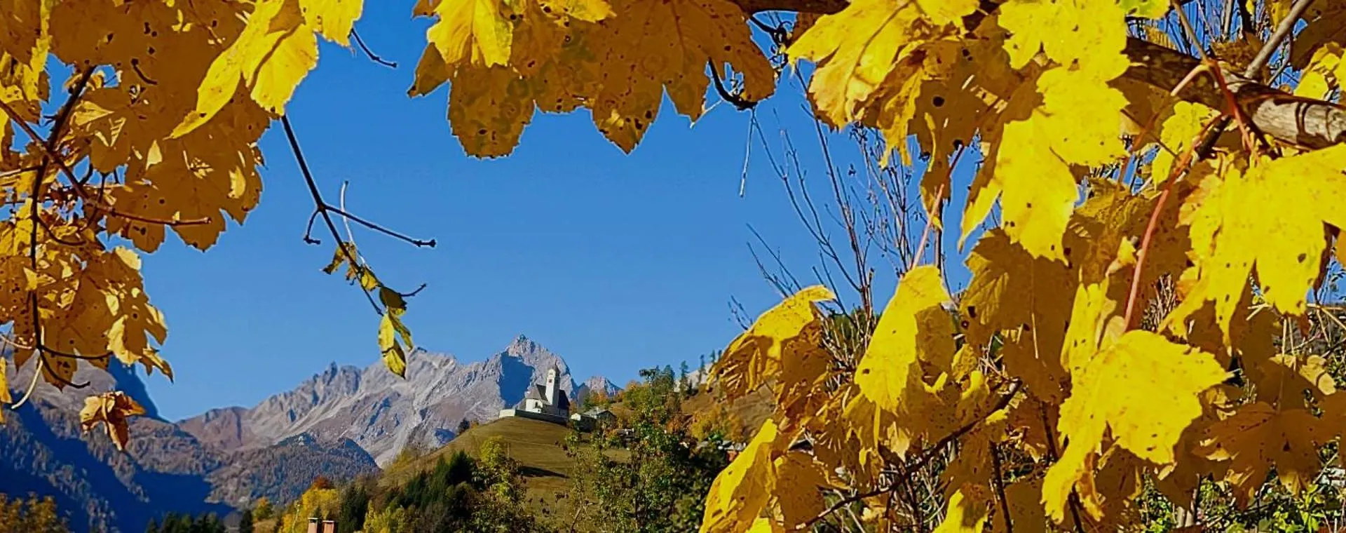 Hotel Garni Ongaro Selva di Cadore